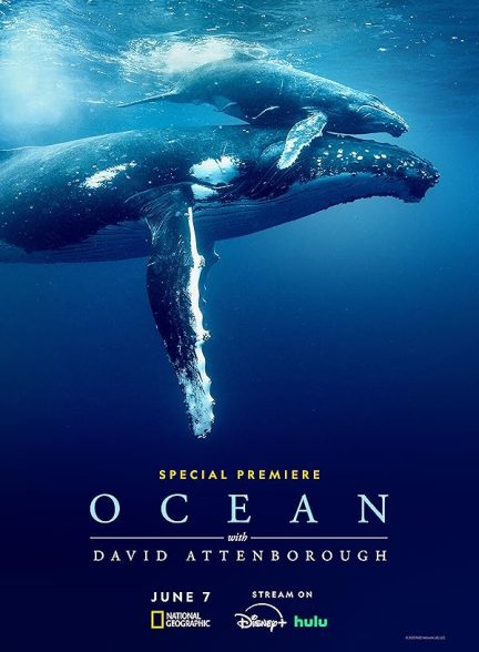 (2025) Ocean with David Attenborough | مستند اقیانوس با دیوید آتنبورو